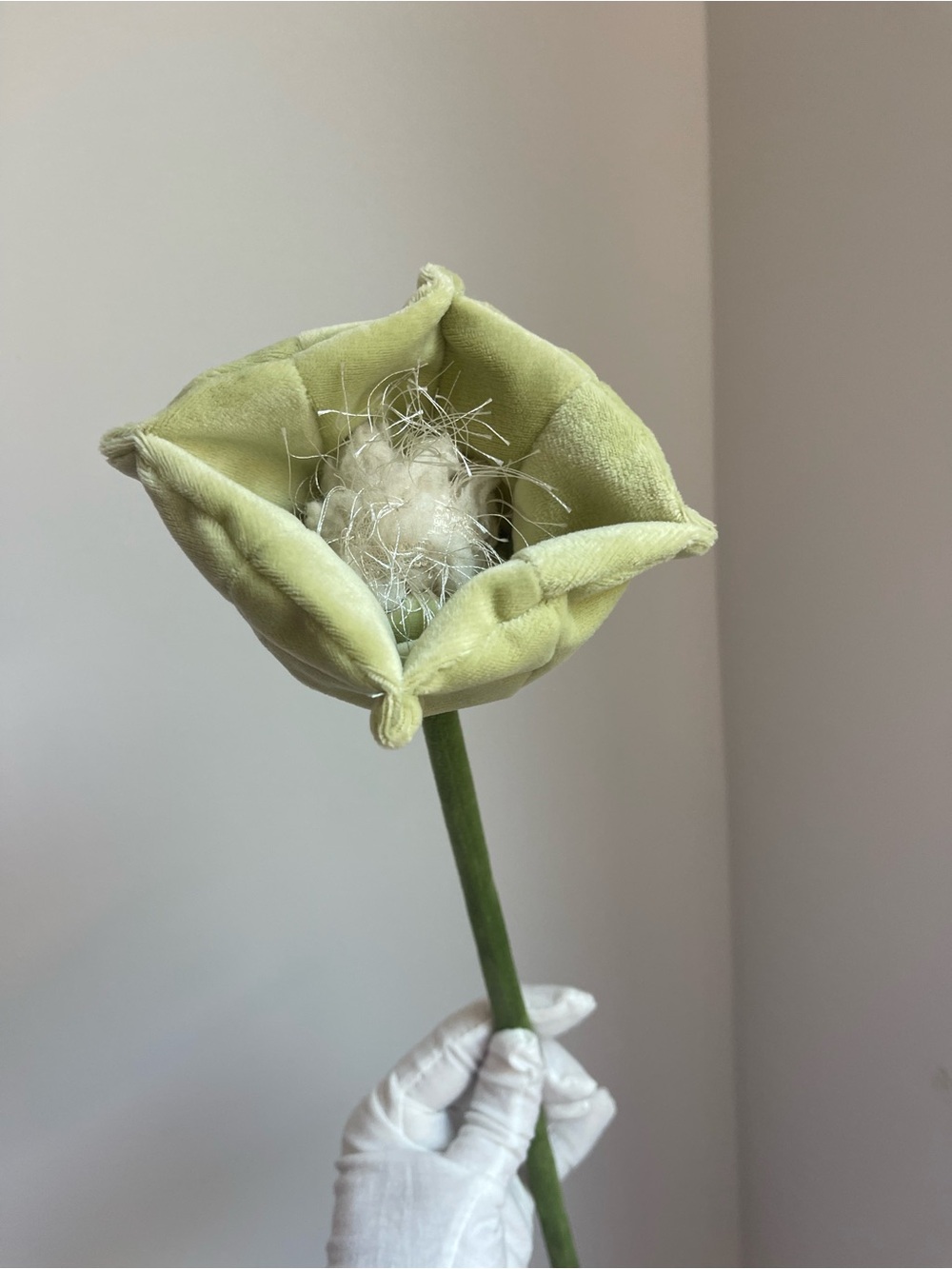 CJ Hendry Flower Shop limited release Fuzzycup bloom